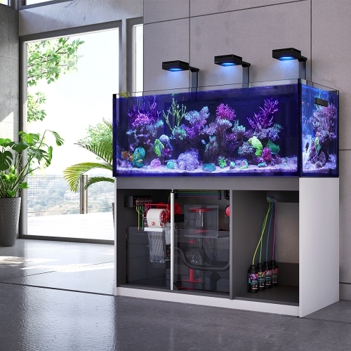 Red Sea 紅海 REEFER G2+ 新款頂級底濾缸