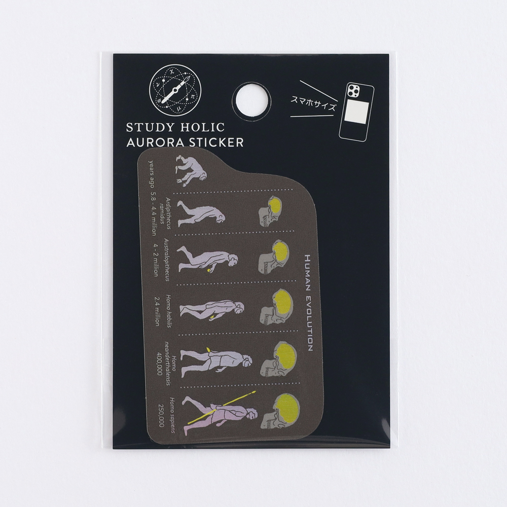 進化生物學 防水大貼紙｜日本STUDY HOLIC