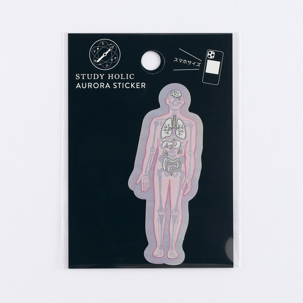 人體生物學 防水大貼紙｜日本STUDY HOLIC