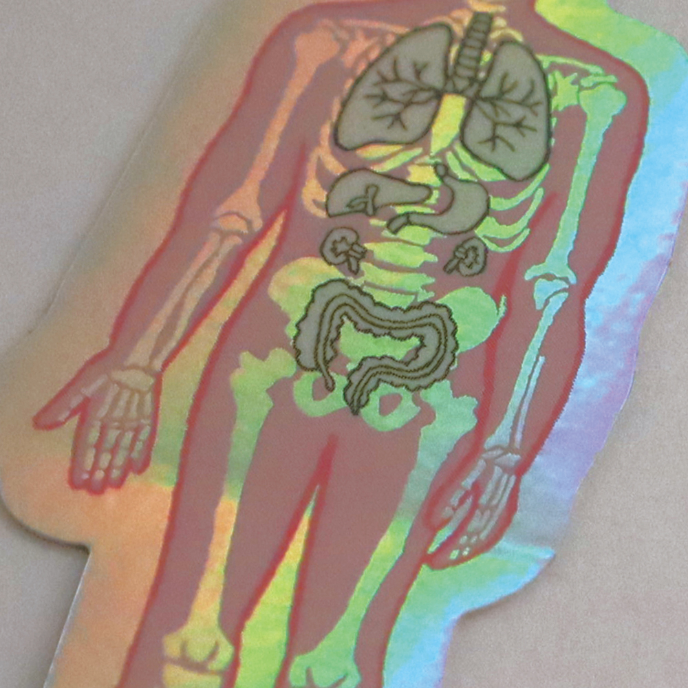 人體生物學 防水大貼紙｜日本STUDY HOLIC