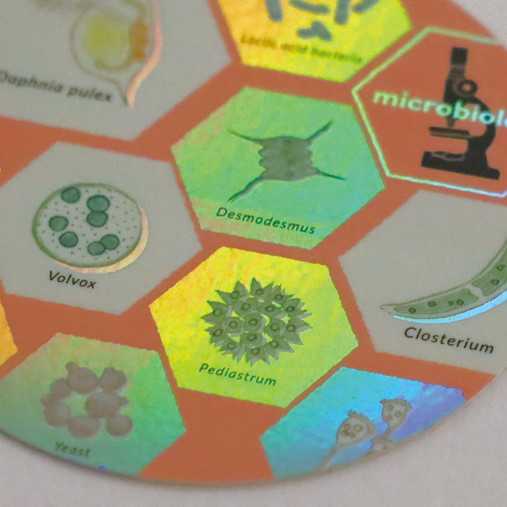微生物學 防水大貼紙｜日本STUDY HOLIC