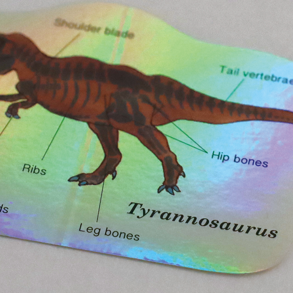 暴龍 古生物學 防水大貼紙｜日本STUDY HOLIC