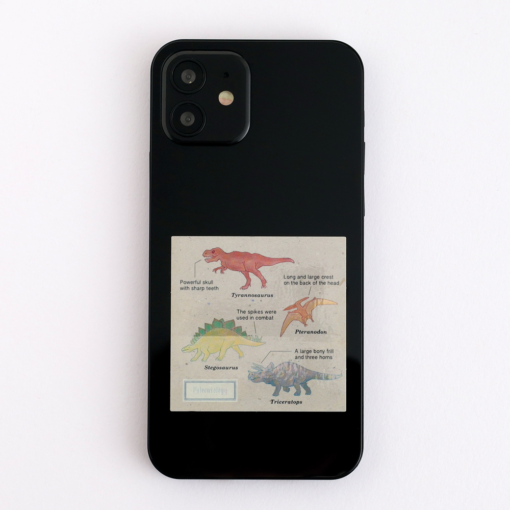 恐龍 古生物學 防水大貼紙｜日本STUDY HOLIC