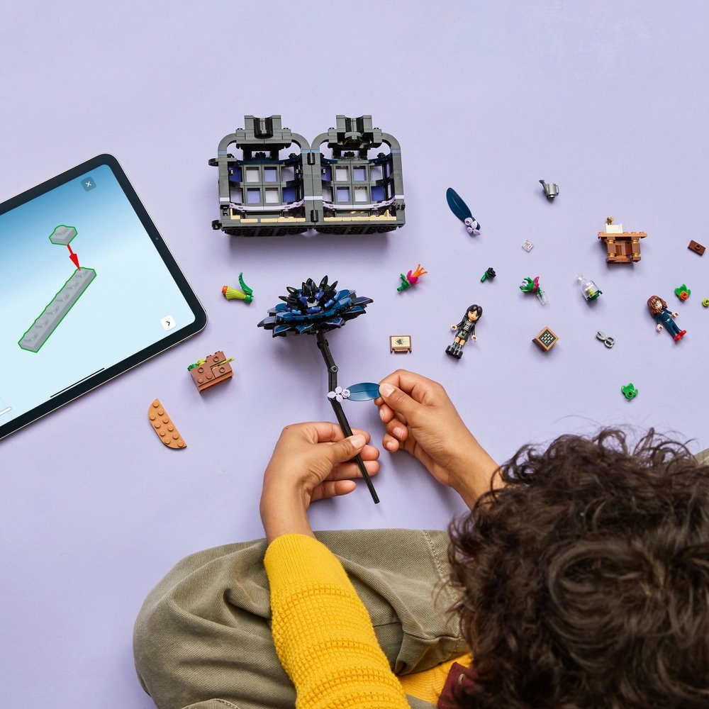 76784 - 黑色大理花