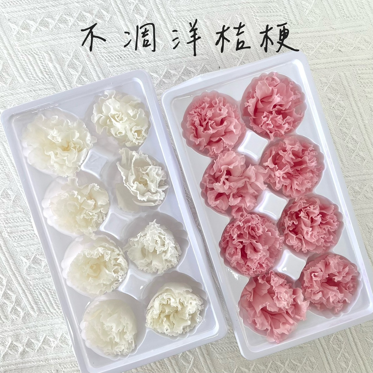 不凋洋桔梗(8朵)