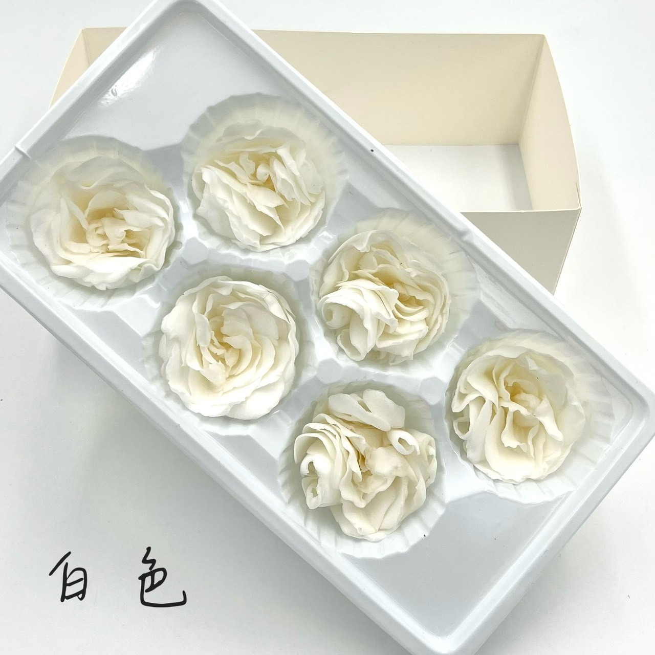 不凋梔子花(6朵)