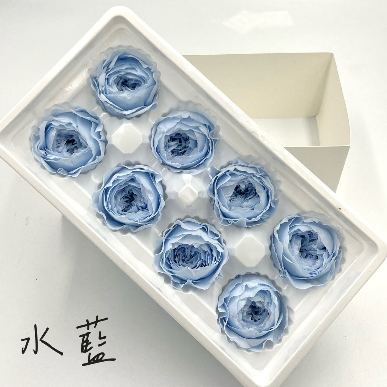 不凋庭園玫瑰(8朵)