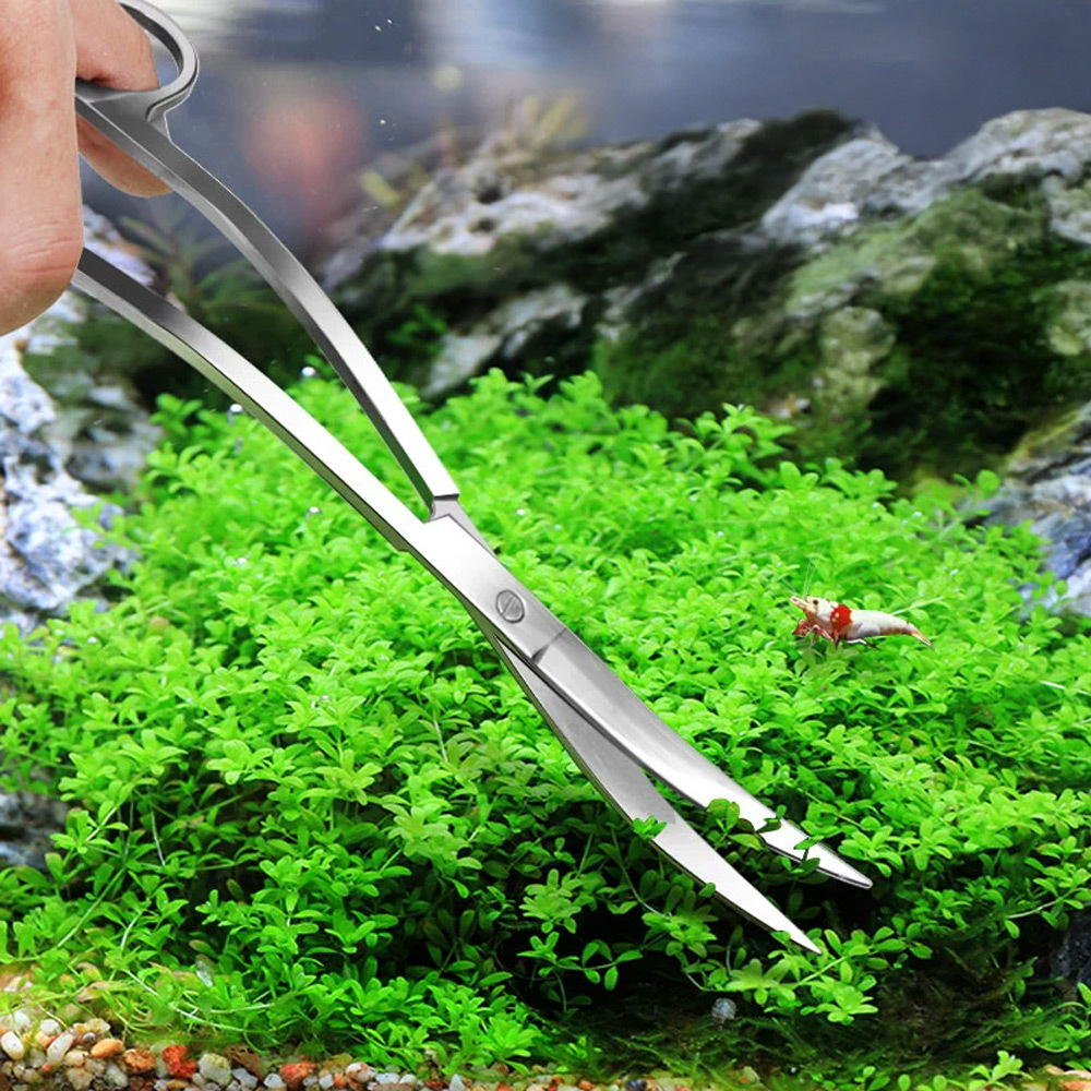 彎剪與波浪剪能輕鬆處理各種植株曲線，是維持水草美型不可或缺利器