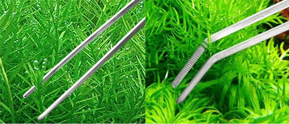 直夾適合根莖水草，彎夾則專攻前景細草