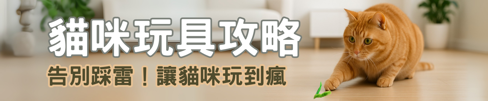 貓咪玩具推薦攻略預覽圖，含貓咪玩樂與多種玩具