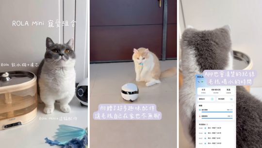 enabot, rola mini, 智慧居家攝影機, 寵物攝影機, 遠端遙控, 全家移動的寵物攝影機, rola 寵物飲水機