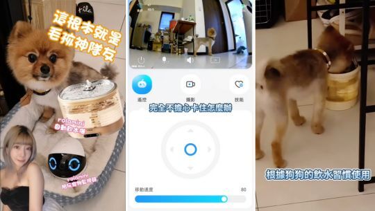 enabot, rola mini, 智慧居家攝影機, 寵物攝影機, 遠端遙控, 全家移動的寵物攝影機, rola 寵物飲水機