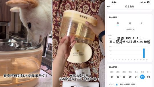 enabot, rola mini, 智慧居家攝影機, 寵物攝影機, 遠端遙控, 全家移動的寵物攝影機, rola 寵物飲水機