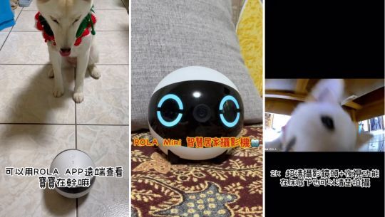 enabot, rola mini, 智慧居家攝影機, 寵物攝影機, 遠端遙控, 全家移動的寵物攝影機, rola 寵物飲水機