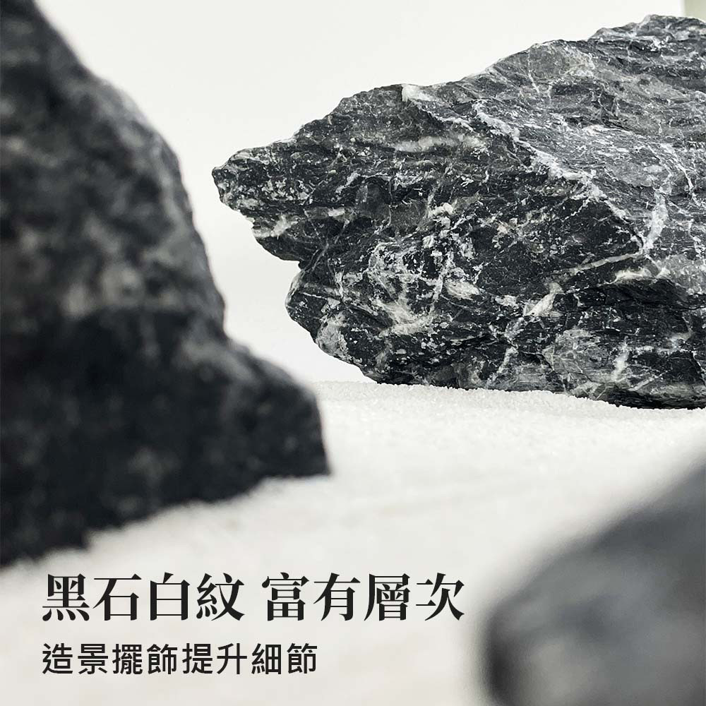 天然色澤與質地為您的魚缸造景增添自然美感