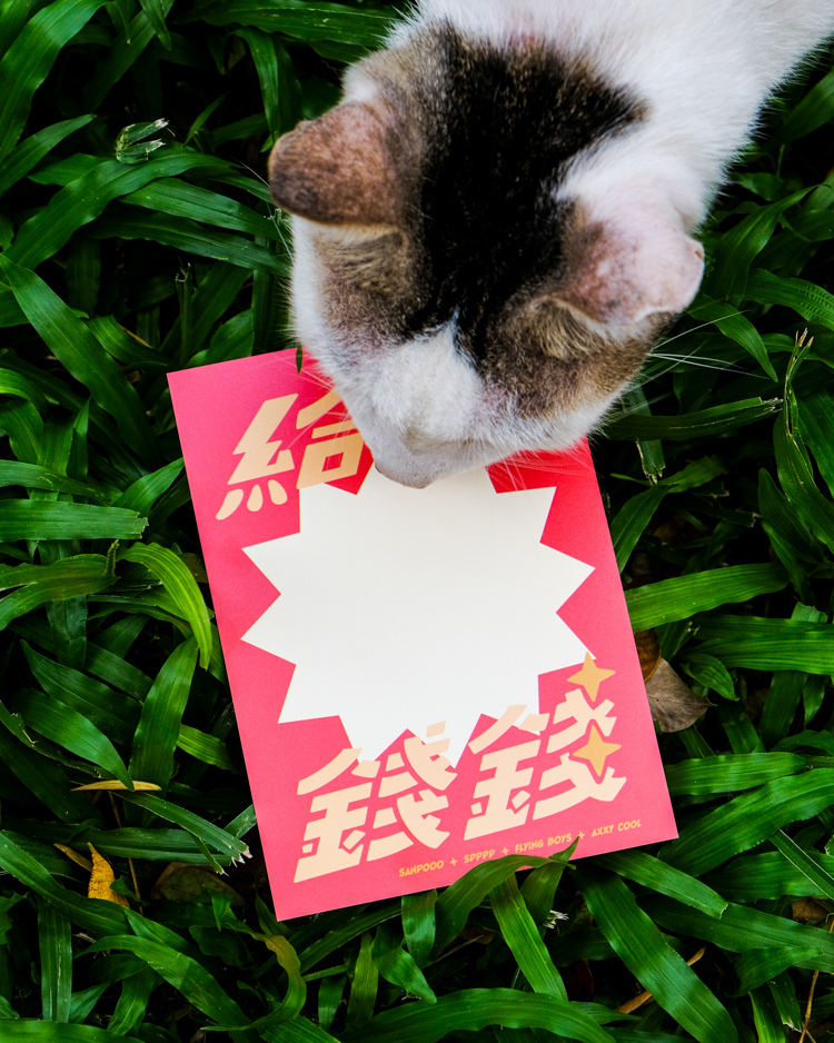 SPPPP｜Flying Boys｜明信片｜新招財阿懂