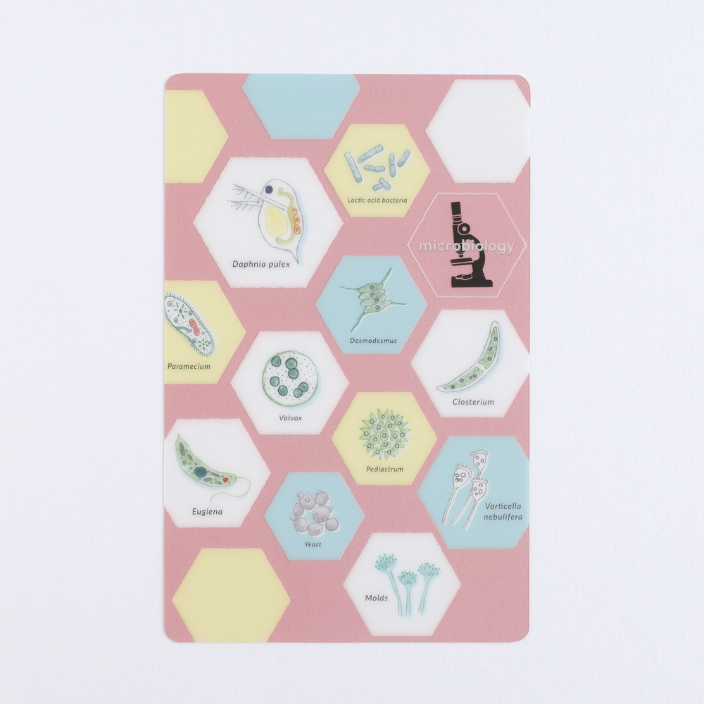 微生物學 透明書籤 小墊板｜日本STUDY HOLIC