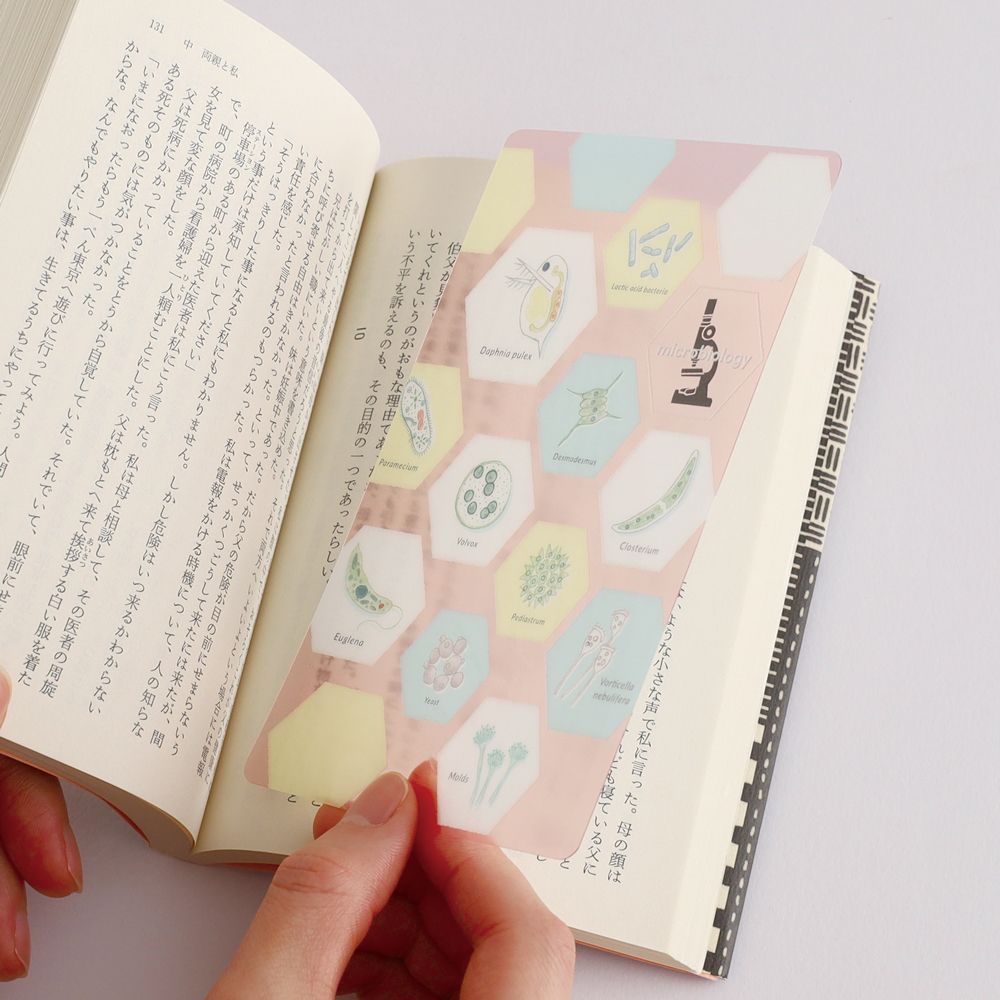 微生物學 透明書籤 小墊板｜日本STUDY HOLIC