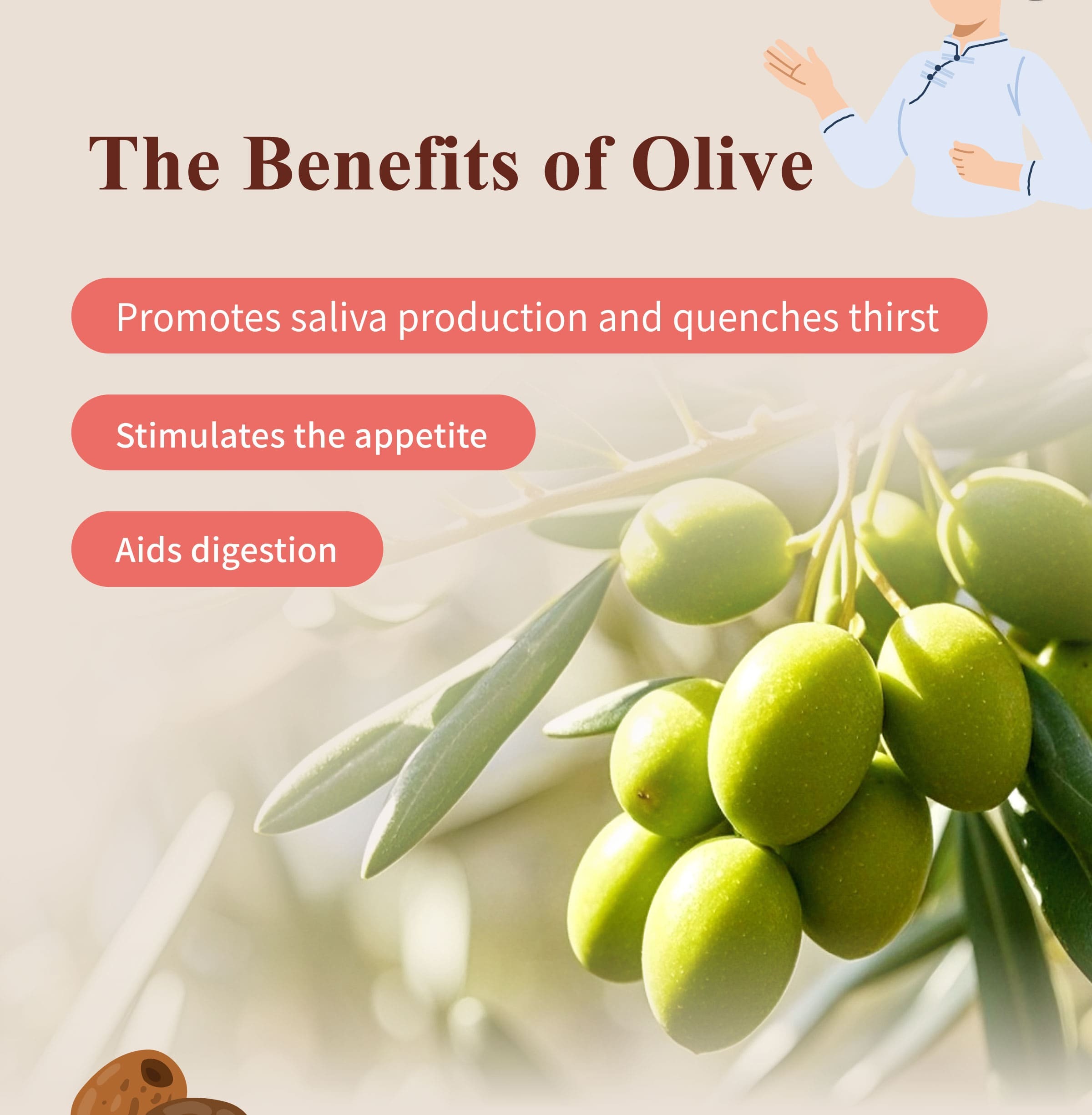 The Benefits of Olive