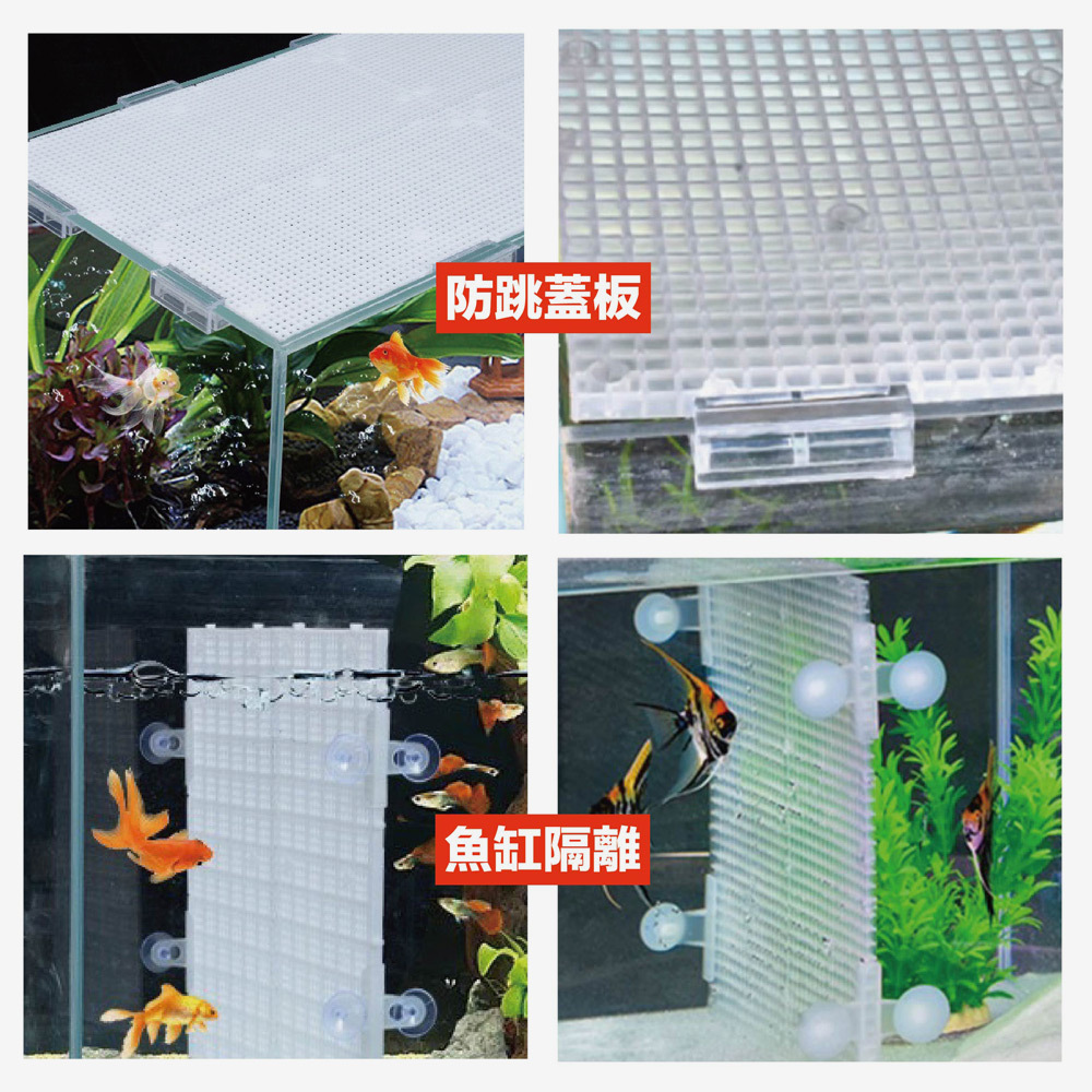 除了魚缸隔離外，還可拼接組成烏龜及兩棲動物的浮台和曬台，實現乾濕分離