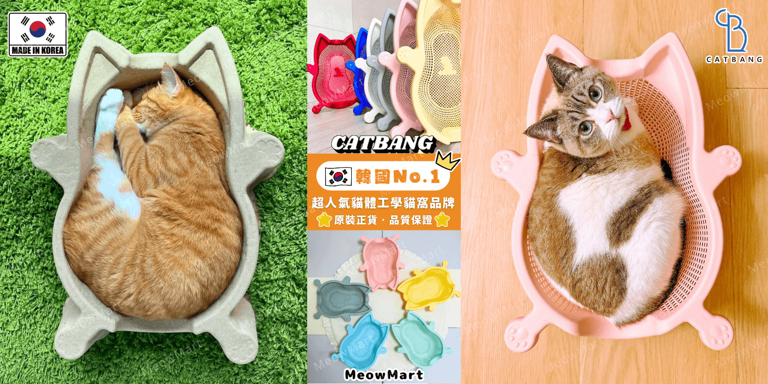 catbang 貓窩, catbang 菜籃, catbang 貓菜籃, sokuri 貓菜籃, catbang 紙漿貓窩, catbang 紙窩, 紙漿貓窩, 韓國 紙漿貓窩, ddundduni, 貓菜籃, 菜籃貓窩, 韓國catbang