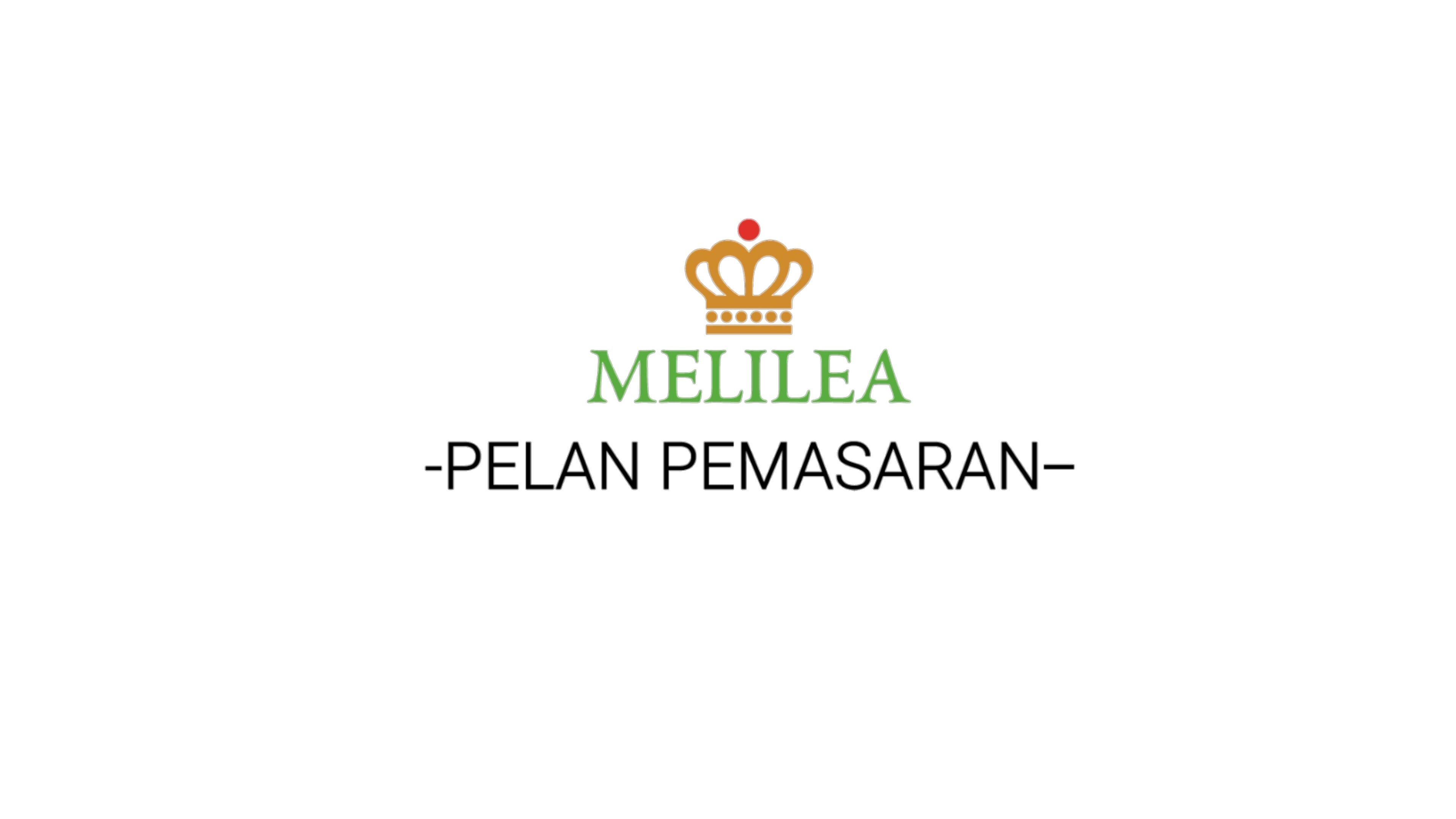 3S Pelan Pemasaran