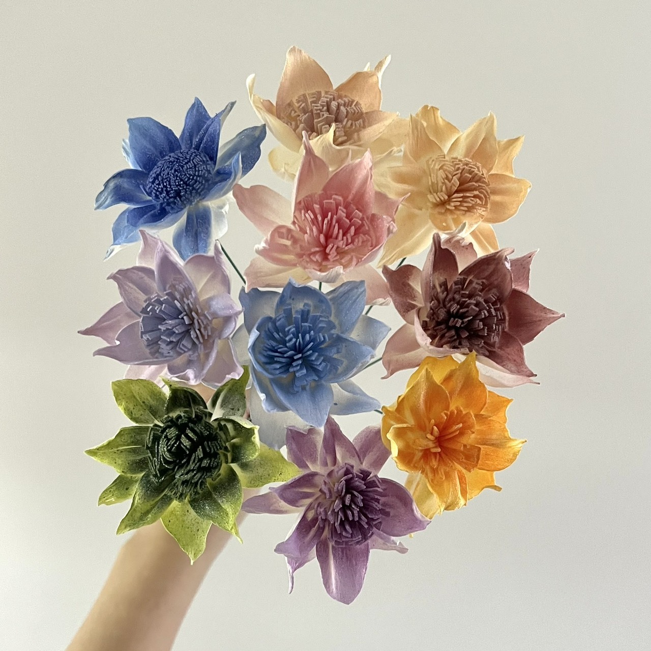 泰國索拉花 鐵線蓮 6CM  <十支一把>  (高品質)