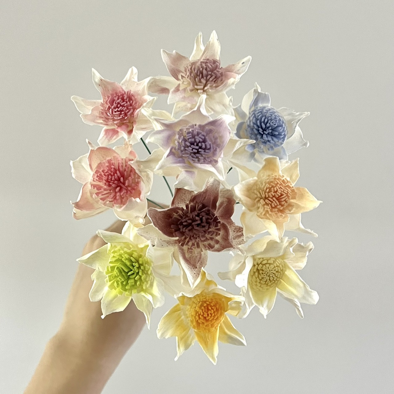 泰國索拉花 鐵線蓮 4CM <十支一把> (高品質)