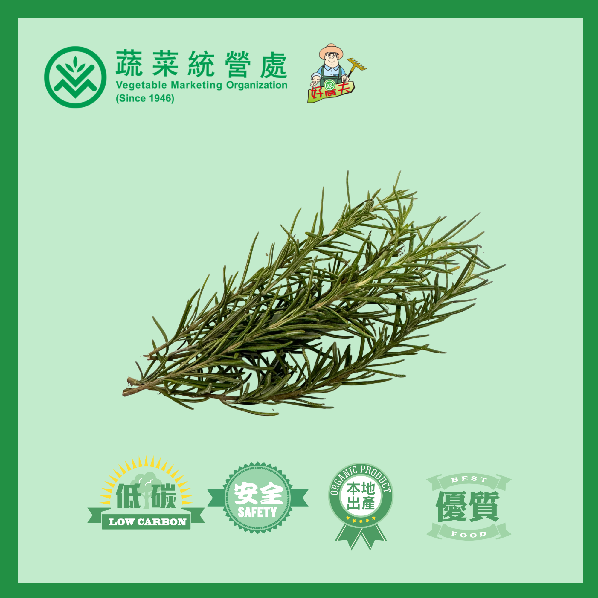 Local Organic  Rosemary（30g）