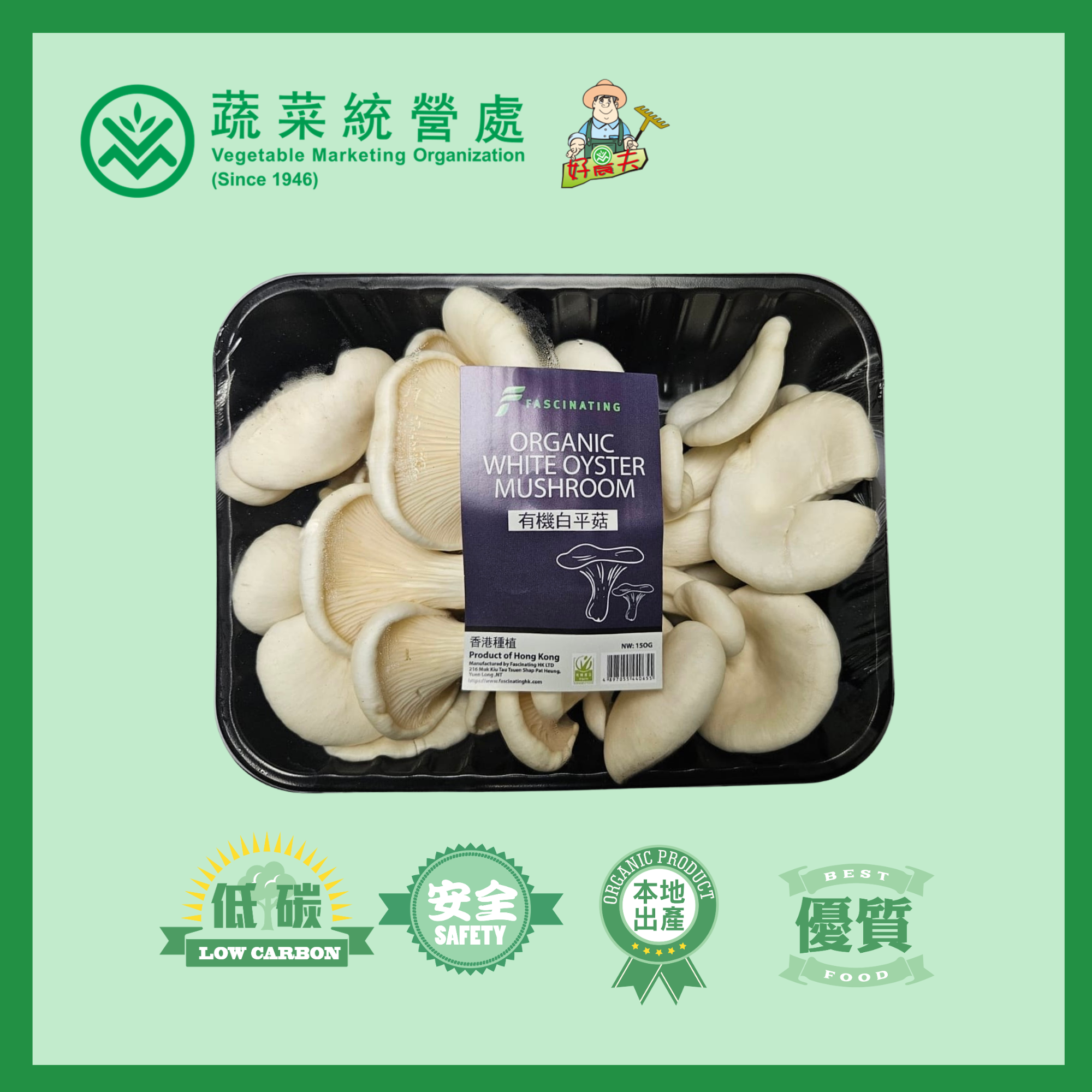Local Organic White Oyster Mushroom