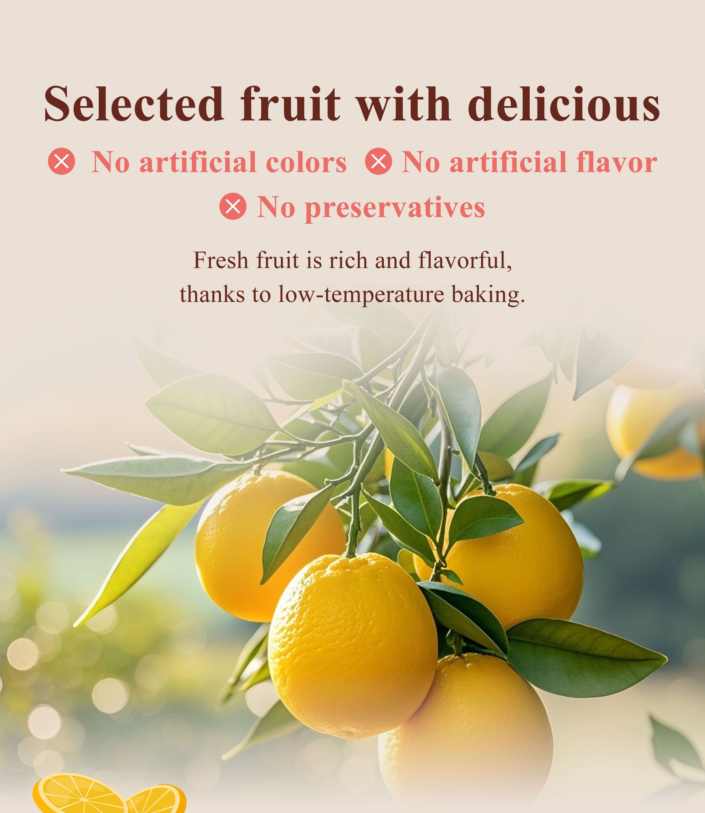 The Benefits of Dengyi Dried Fruit