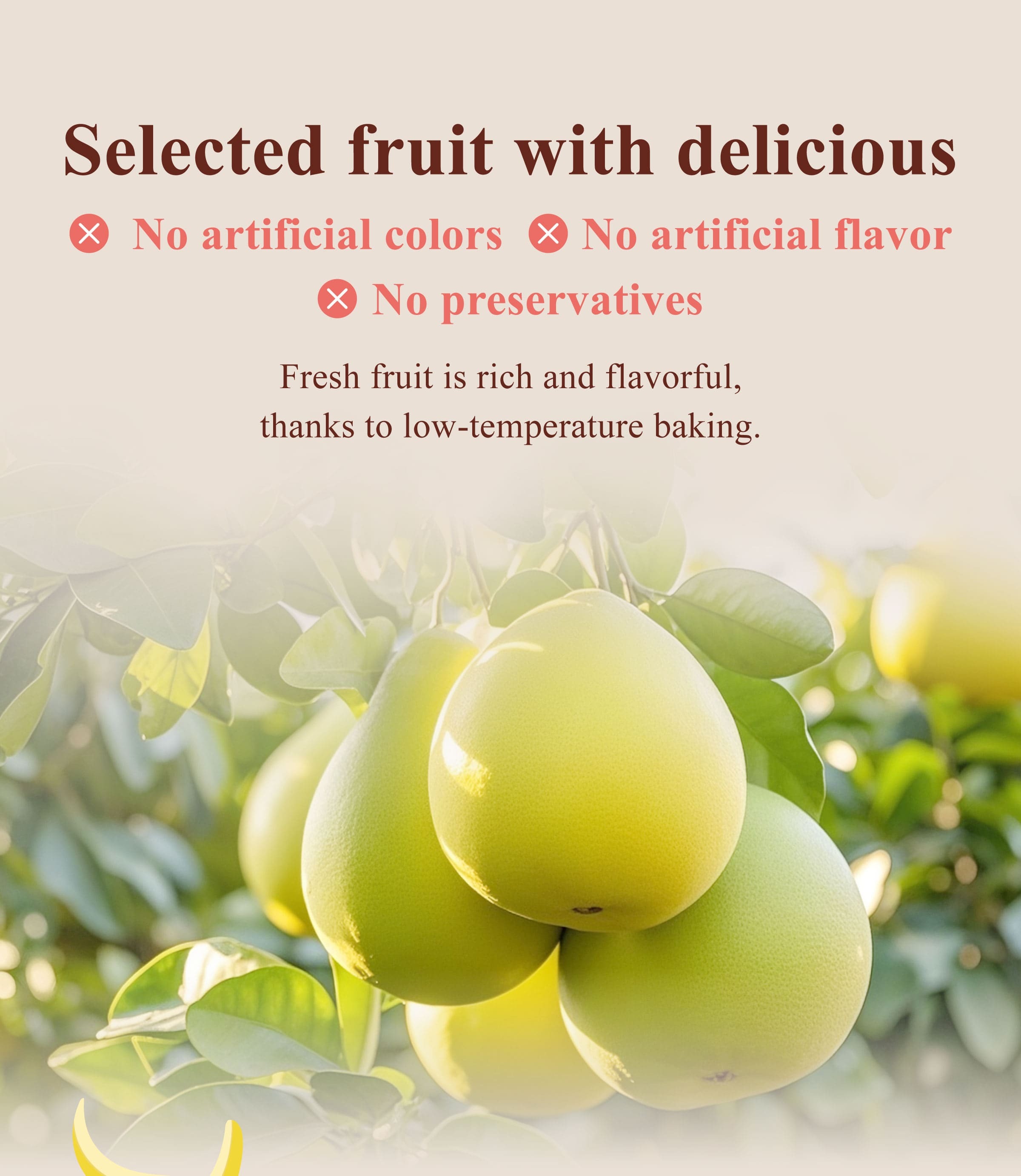 The Benefits of Dengyi Dried Fruit