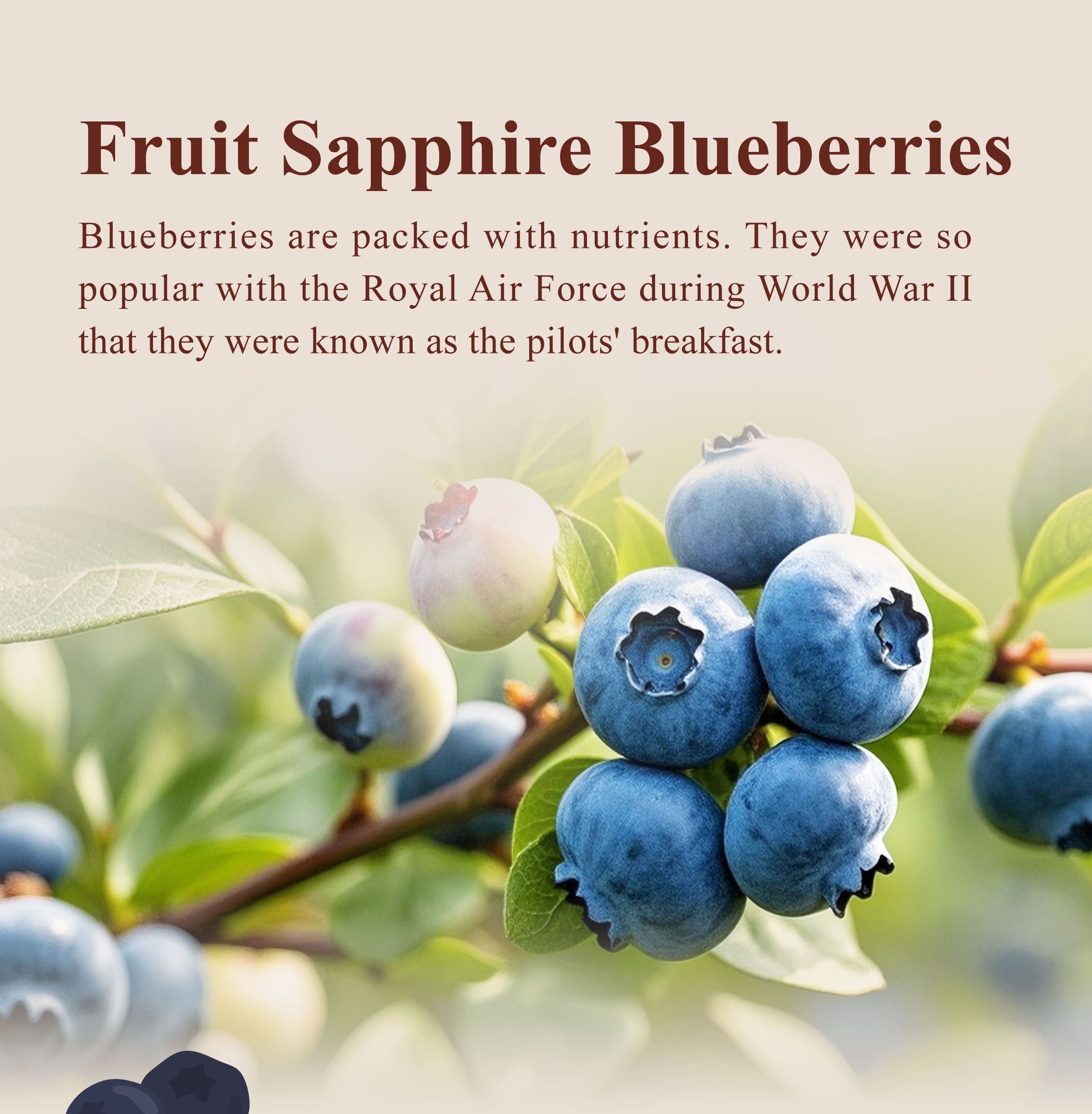 The Benefits of Blueberries