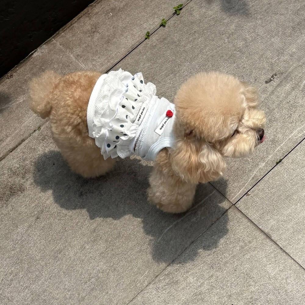 COZY-N 多層次波點迷你裙