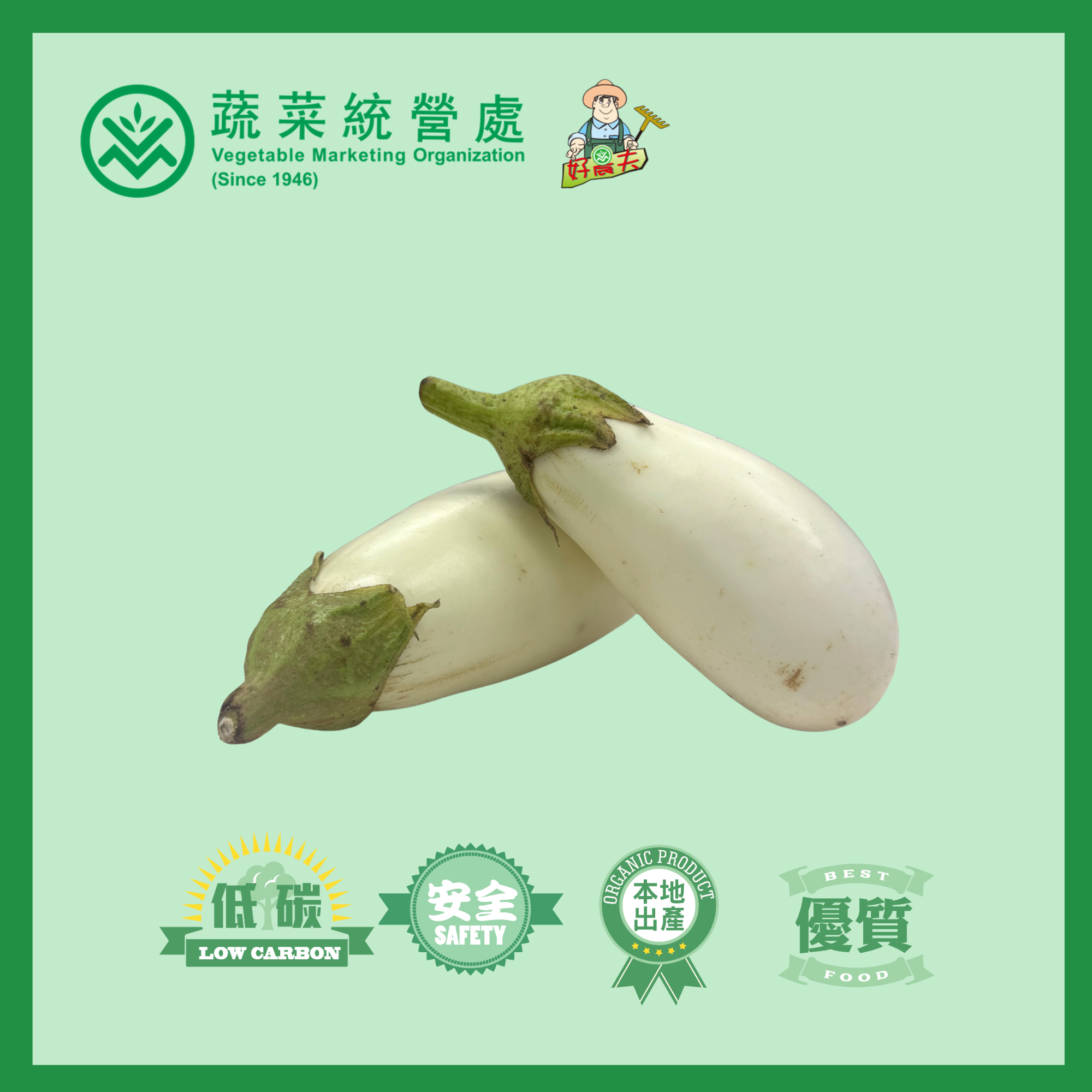 本地有機白色膽茄子 (包)