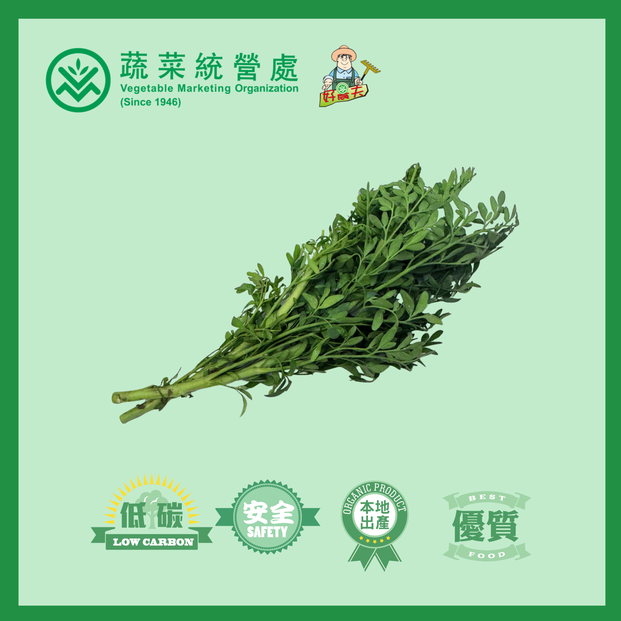 Local Organic Common Rue (BAG)