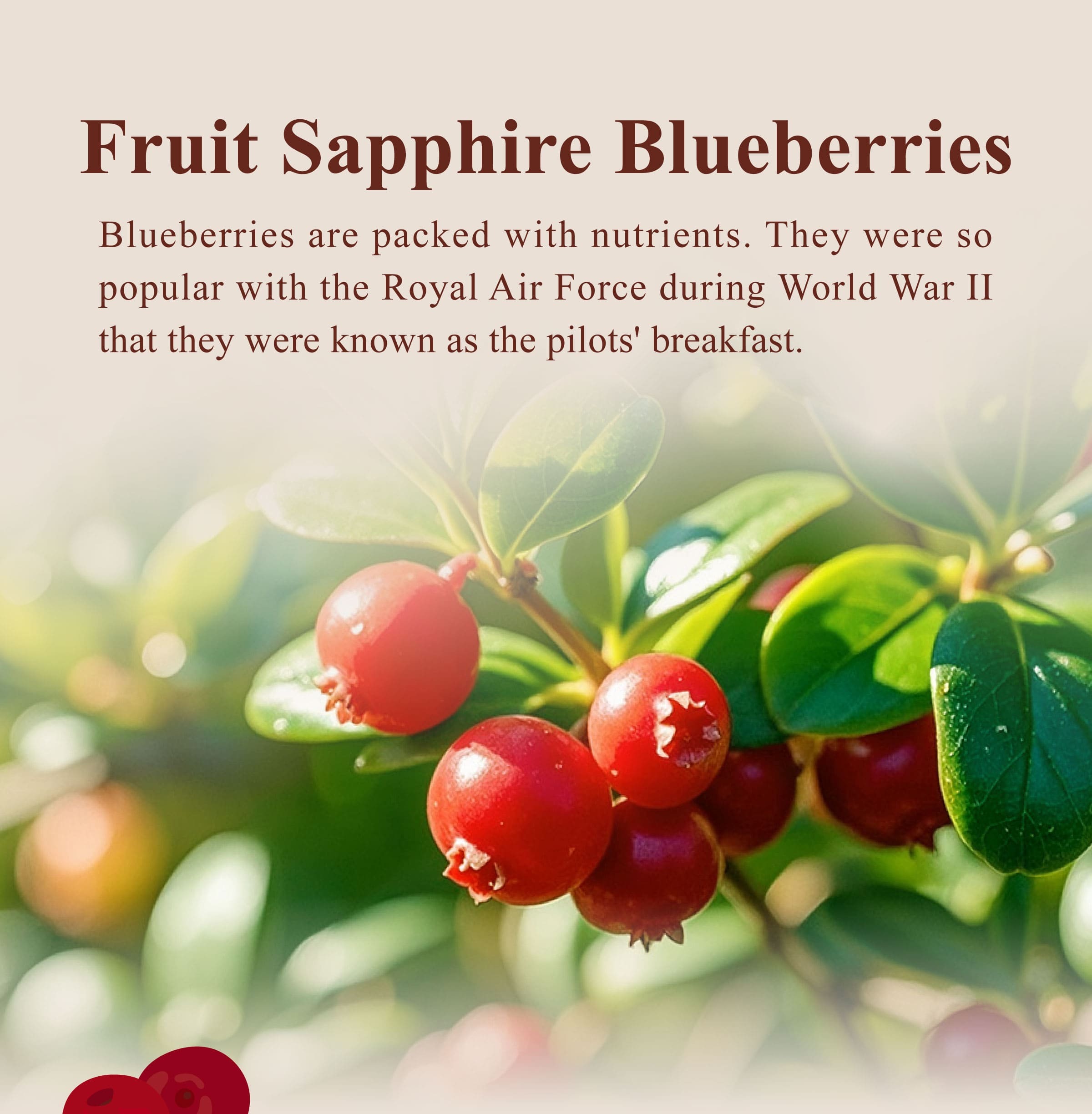 The Benefits of Cranberry