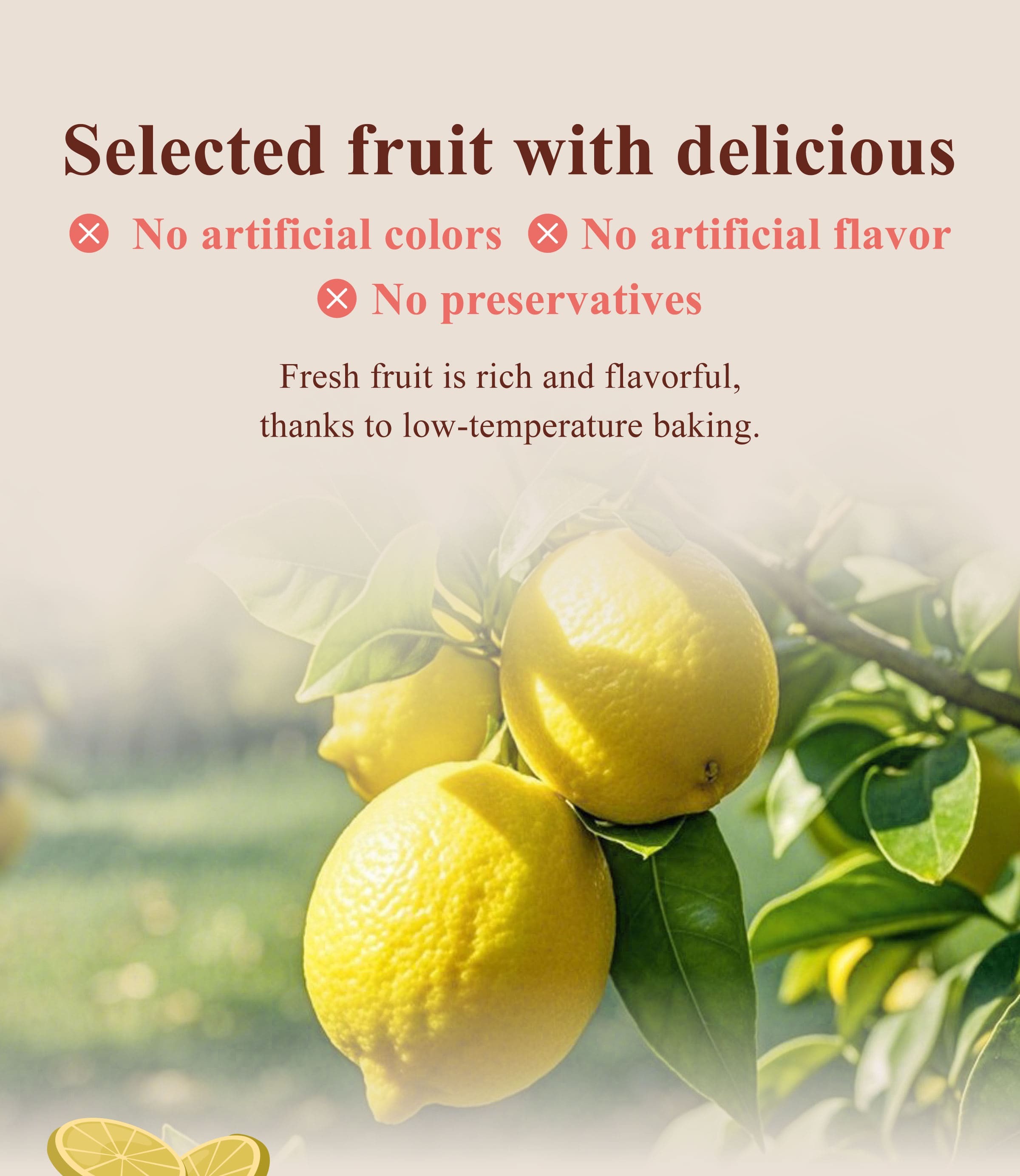 The Benefits of Dengyi Dried Fruit