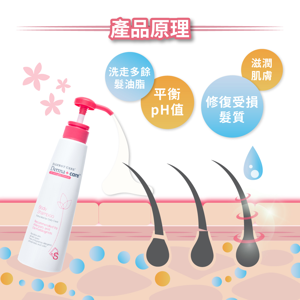 Derma+care BS 抗敏修護洗髪沐浴露 02