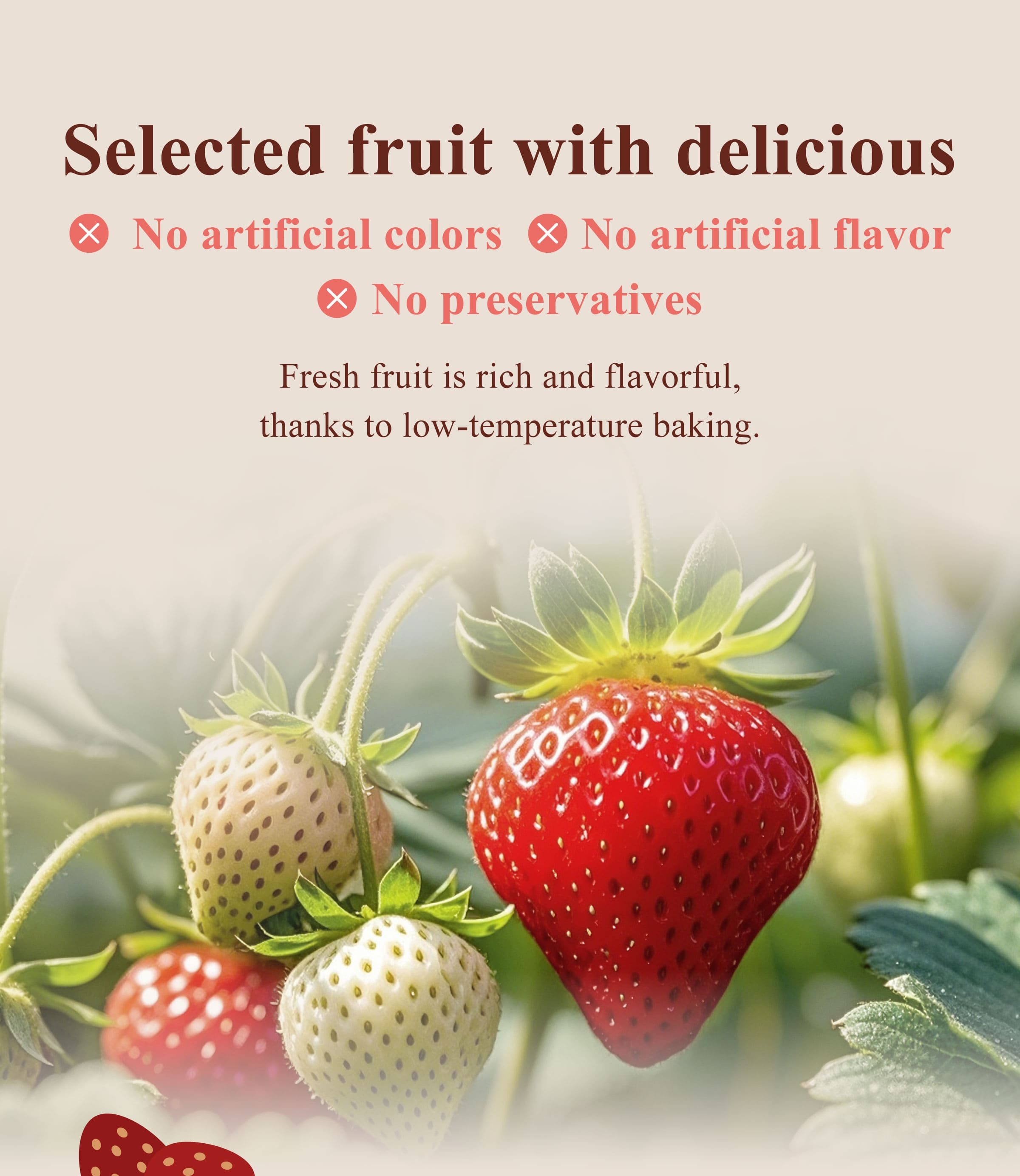 The Benefits of Dengyi Dried Fruit