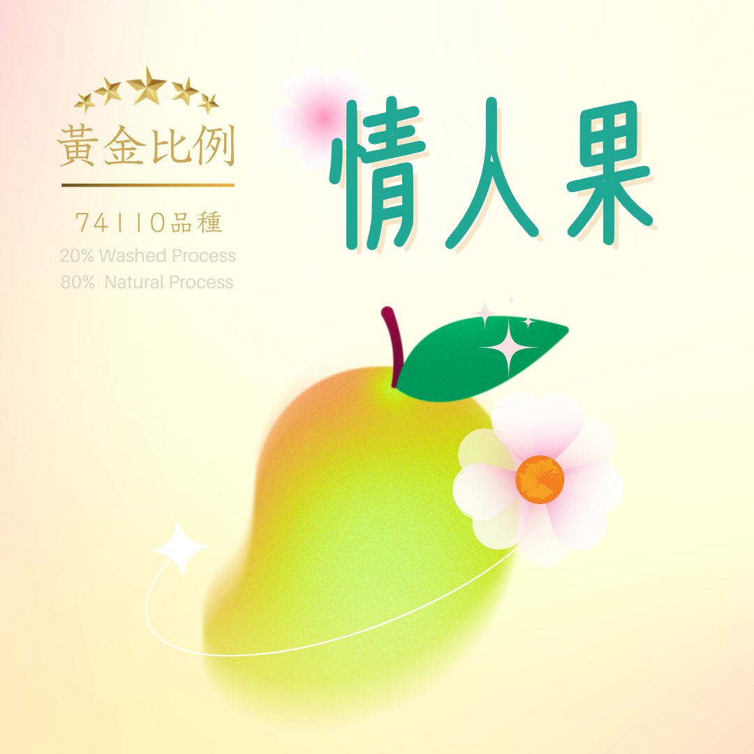 耶加雪菲 情人果 74110黃金比例