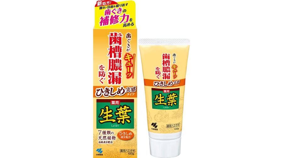 小林制藥 - 生葉牙齦緊緻牙膏 100G