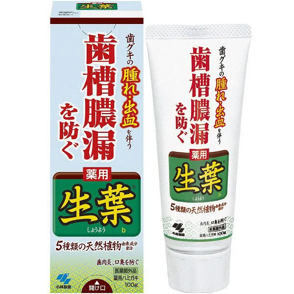 小林制藥 -預防牙龈出血牙周炎藥用生葉牙膏 100G