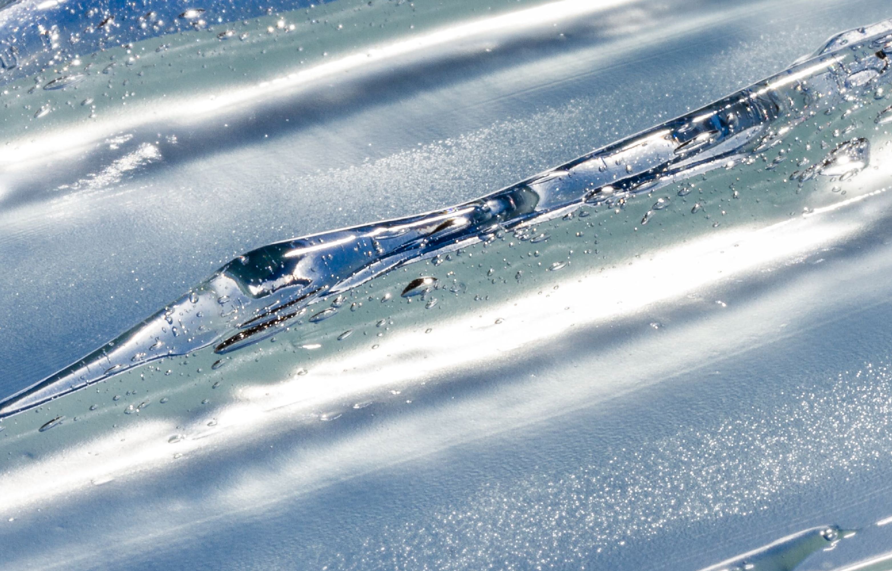 南極冰河海醣蛋白