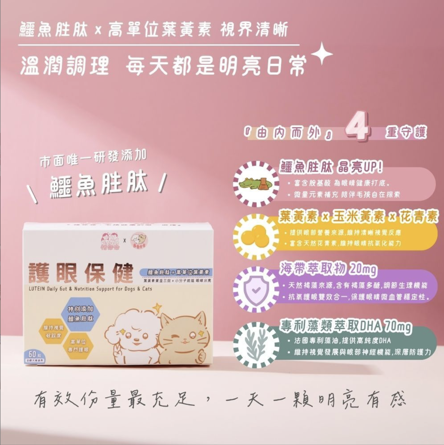 寵愛毛毛｜惜命命｜護眼保健