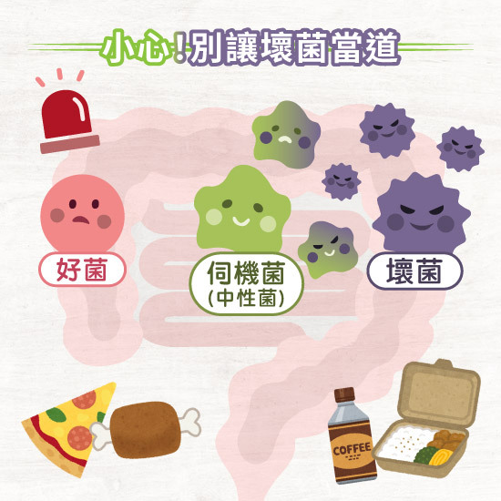 P1美肌配方益生菌有助好菌生長