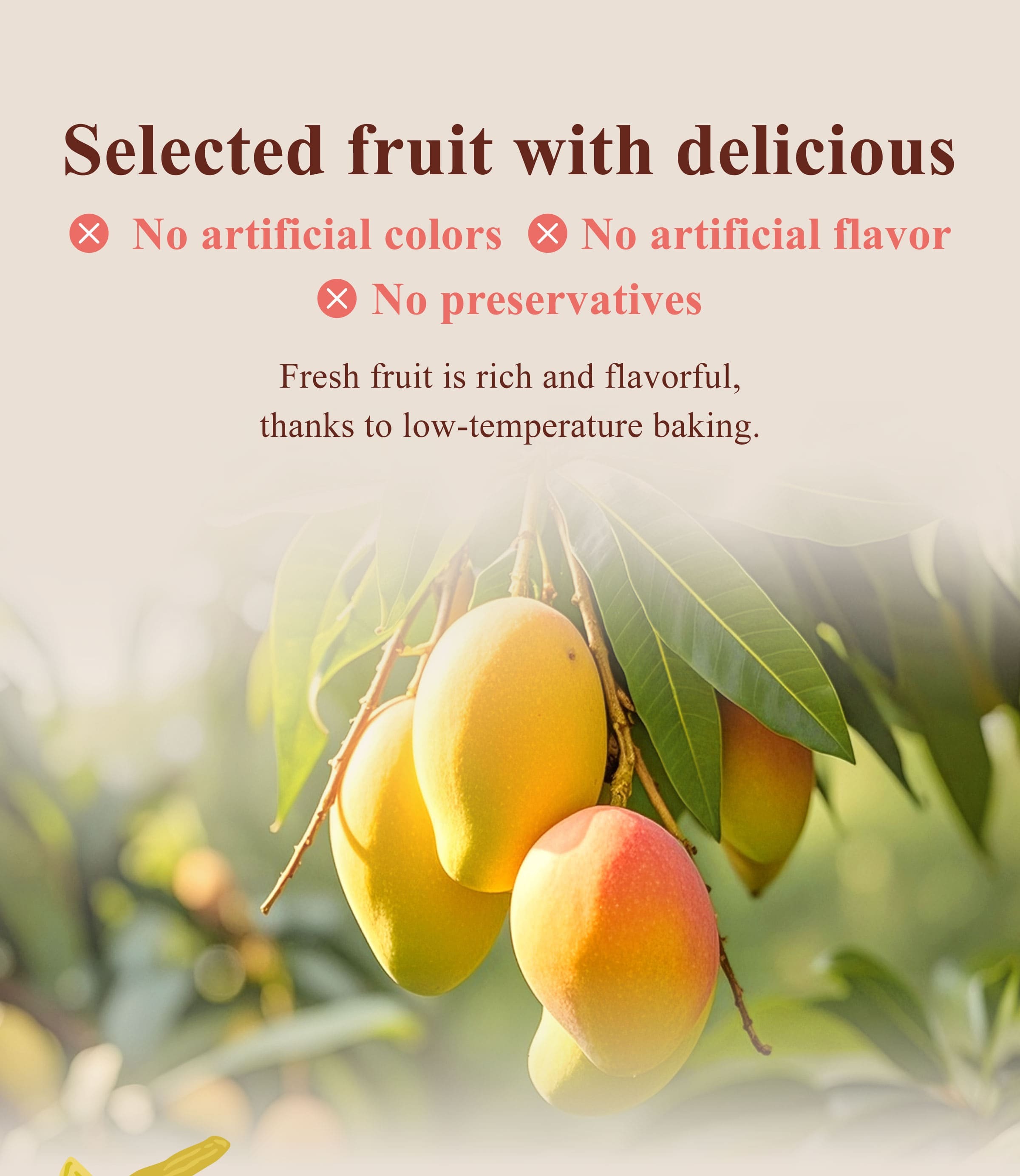 The Benefits of Dengyi Dried Fruit