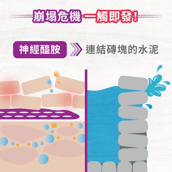 美容保健品美肌P2配方防止肌膚缺少神經醯胺