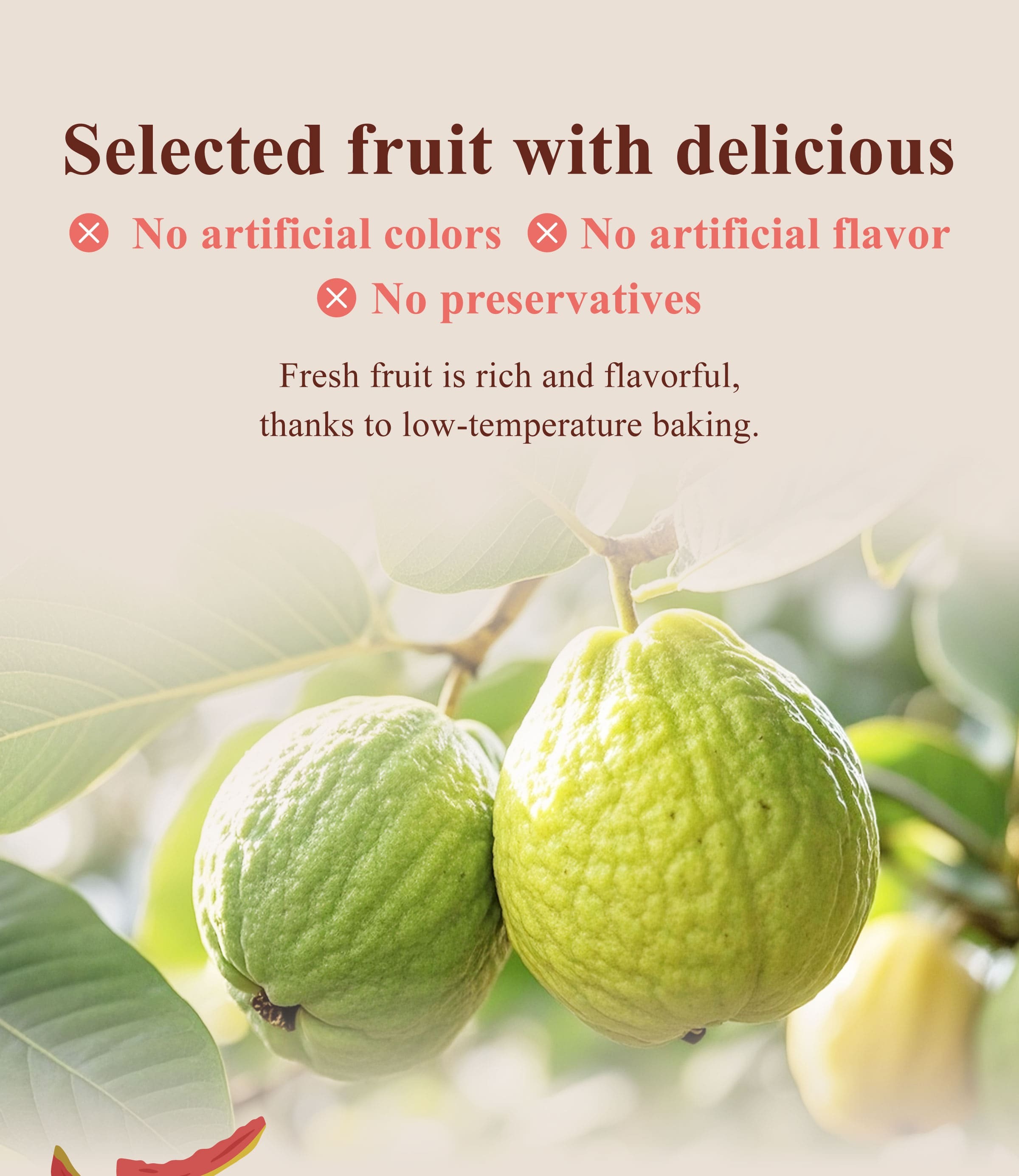 The Benefits of Dengyi Dried Fruit