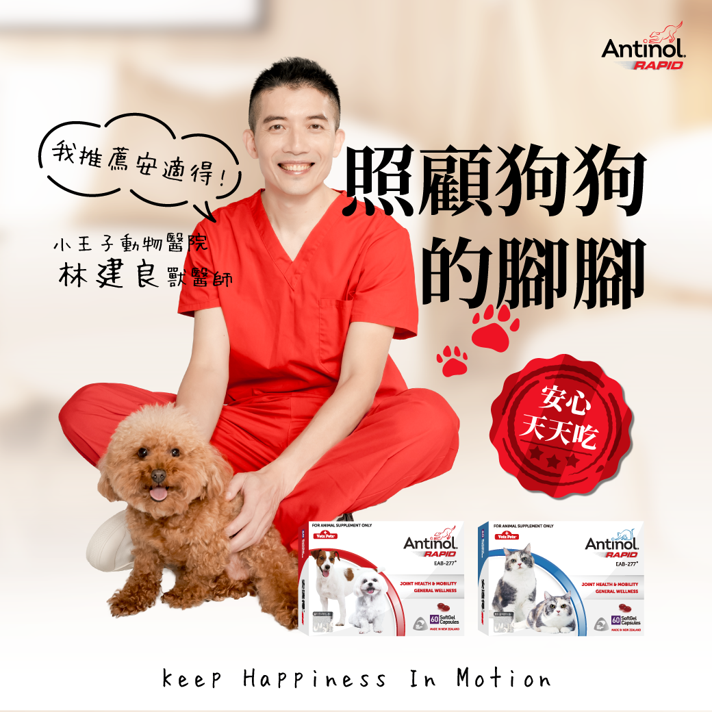 【古書】實驗(実験)養家鴨法 附 家禽治療法 初版 古書】實驗(実験)養家鴨法 附 家禽治療法 初版 1977 醫學小叢書萬